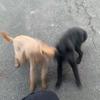 Skye - @sienna.rushmor312 - TikTok