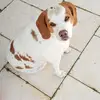 siennasheppard - @siennastone7 - TikTok