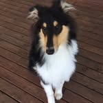 SiennaSimonsen - @siennasimonsen - Instagram