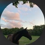 Sienna Simpson 🇦🇺 - @showjumping.sie - Instagram