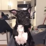 Sienna Sims - @sienna_sims_ - Instagram