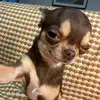 Siena Solis - @sienasolis - TikTok