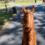 Sienna Spence - @siennas_horses - Instagram