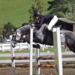 Sienna Stevens - @sienna_equine.nz - Instagram