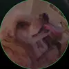 .siennastrong - @.siennastrong - TikTok