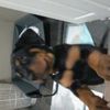 siennasutherland - @sienna_sutho - TikTok