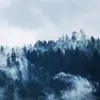 Sienna Wang - @user22883934584555 - TikTok