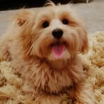Sienn09 - @siennawaters09 - Instagram