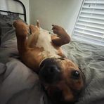 Sienna Watson - Facebook