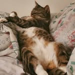 Sienna Weiss - @siennas_animal_encounters - Instagram