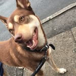 Sienna Whithead - @siennawhitehead10 - Instagram