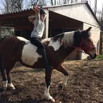 Sienna_winnetou - @siennawullaert - Instagram