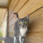 Siera Smith - @mrskitkatlover - Instagram