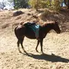 Sierra.Adkins - @sierra_adkins_farm - TikTok