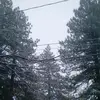 sierraadkins - @sierra.adkins2 - TikTok