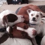@sierrajackandkevinbacon - Instagram