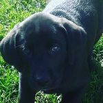 sierra_79 - @_sierraball - Instagram