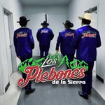 Los Plebones De La Sierra - @losplebonesdelasierra - Instagram