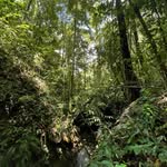 Bosque Sierra Nevada - @bosquesierranevada - Instagram
