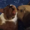 sierrabossart - @sierrabossart2319 - TikTok