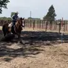Sierra Boyd - @sierra.boyd19 - TikTok