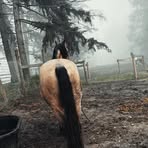 Sierra Buckner - Facebook