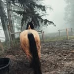 Sierra buckner - @sierra_buckner_123 - Instagram