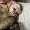 rara - @sierraacameron - TikTok