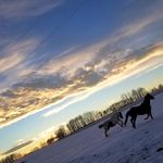 sierra - @_sierra.campbell_ - Instagram