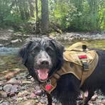 Sierra Capers - Facebook