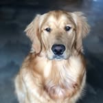 Sierra Case - @case.sierra - Instagram