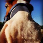 Sierra Chaney - @keeperdoo_and_remy_too - Instagram