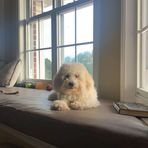 Sierra Chaney - Facebook