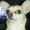 sierra baby - @sierraoconner - TikTok