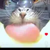 sierraconnery - @sierra..connery - TikTok