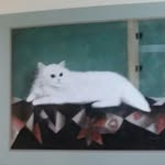 Sierra Grace Darnell - @why_do_cats_dream - Instagram