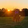 Sierra Dodson - @sierradodson2004 - TikTok