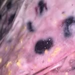Sierra & Hannah - @lunchslime2725 - Instagram