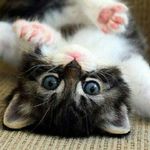 sierra Harmon - @color_the_world_13 - Instagram