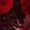 Sierra Hopper - @sierra.hopper - TikTok