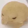 sierrahopper1 - @sierrahopper1 - TikTok