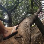 Sierra Jay - @barefoot.and.basic - Instagram