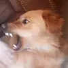 dawsonja2005 - @sierralemon2010 - TikTok