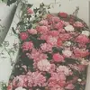 Sierra Mays - @dailyfaker - TikTok