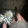 Sierra Morrison - @sierraemj - TikTok