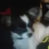 sierraparmenter69 - @sierraparmenter69 - TikTok