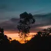 Sierra Perry - @user5614997291236 - TikTok