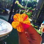 Sierra Pollock - @ssssierra_pollock - Instagram