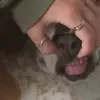 sierra - @sierrapollock - TikTok