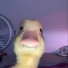 Sierraa - @sierra_richasf - TikTok